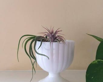 Vintage Fluted Milk Glass Vase // retro, white, goblet, cup, planter, decor, storage