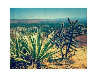 Large Landscape Photography, Southwestern Art, Large Cactus Photography, Vintage Desert Print, New Mexico Art Southwest Art Desert Love