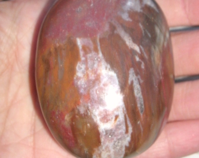 Petrified Wood Madagascar Palm Stone, 141g, 2 1/2", Great colors, crystal spots and reds browns offwhite, polished, freeform, salicified