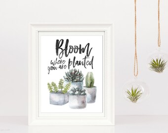 Succulent Print, Watercolor - Bloom Where You are Planted - Botanical Quote, Inspirational, Succulents, Plants, white, green plant