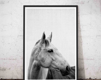 Horse Print, Modern Minimalist, Wall Art Photography, Minimalist Horse, Equestrian, Wild Horse Photo, Girls Room Decor, Digital Download