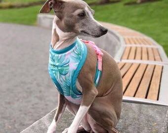 Custom Dog Harness