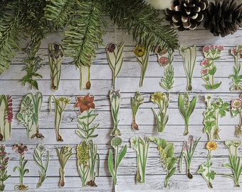 30 Piece Vintage Spring Flowers Sticker Set