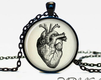 Anatomical heart pendant Anatomical heart necklace Anatomical heart jewelry