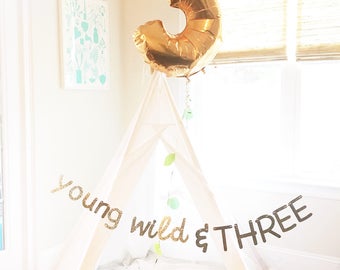 Young Wild and Three Banner // Young, Wild & Three Banner // 3rd Birthday Party Decor // 3rd Birthday Boy // 3rd Birthday Girl