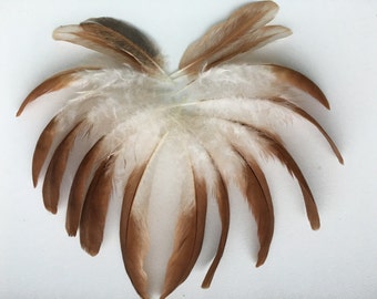 FREE SHIPPING 25 Orange Chicken Brown Feathers Feathers Loose Feathers For Crafts Spotted Assortment Supplies