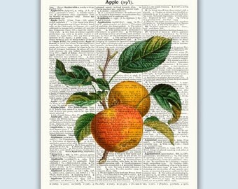 Apple Wall Decor apple poster | etsy Apple Wall Decor apple poster | etsy