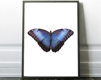 Butterfly Print, Butterfly Art Prints, Printable Butterfly, Prints of Butterfly, Butterfly Wall Art Print, Butterfly Decor, Butterfly Art