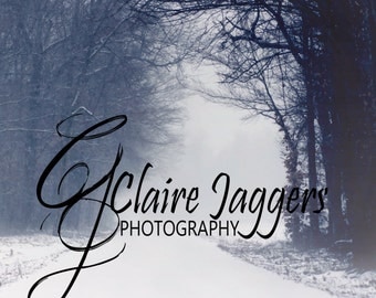 Winter lane Christmas digital backdrop background