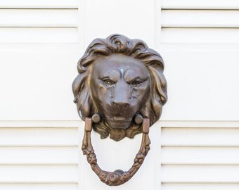 Lion Door Knocker in Charleston, SC Print