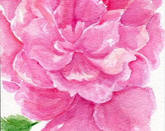 Peony Watercolors Painting, Peony painting Original Flowers artwork, 5 x 7, original watercolor painting, Peony artwork SharonFosterArt