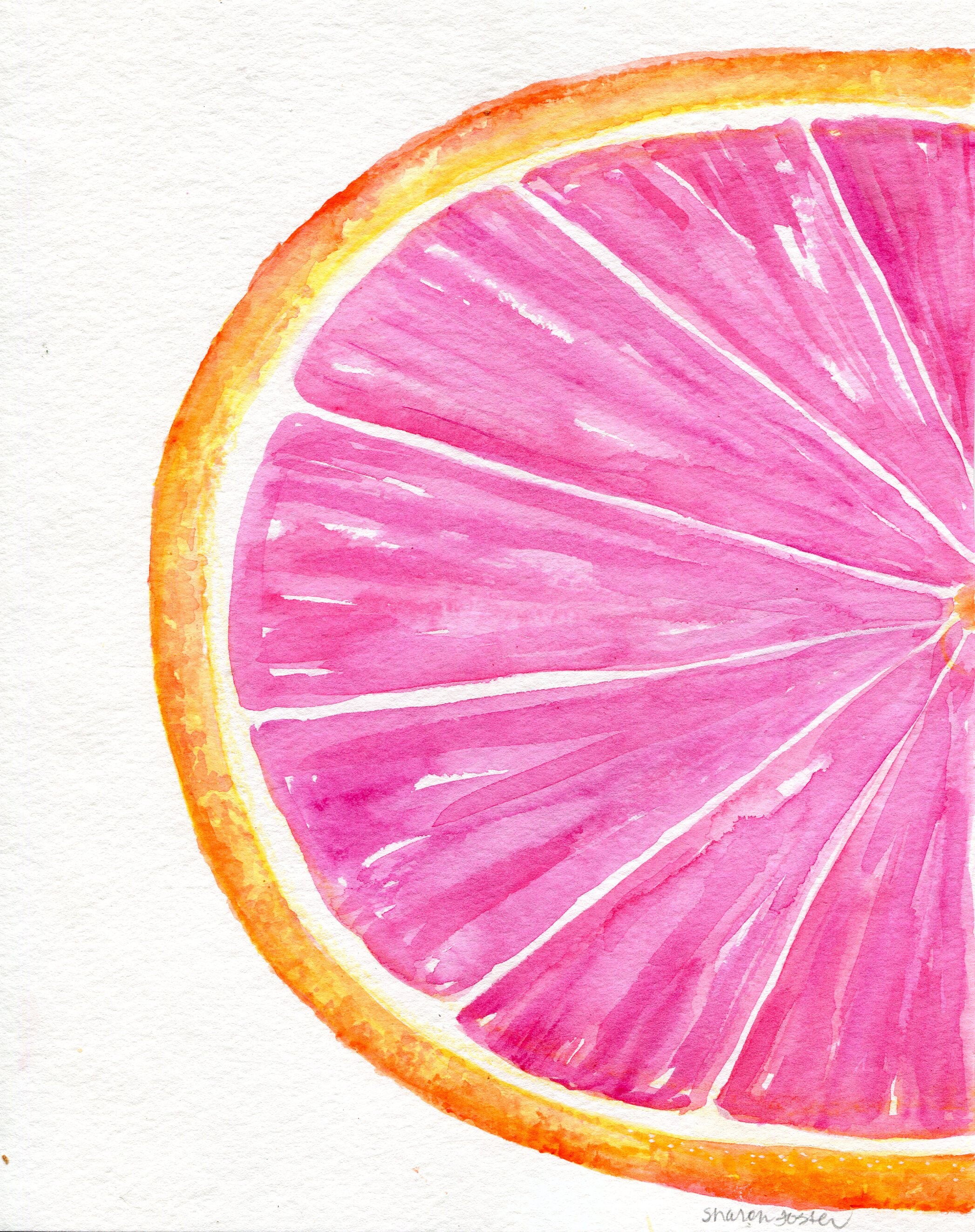 Grapefruit Watercolor Painting Original Ruby Red Citrus ART