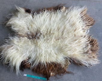 Icelandic Sheepskin - Badger Moorit and SUPER Long Wooled Sheep Hide - Lot No. 25239TURQ