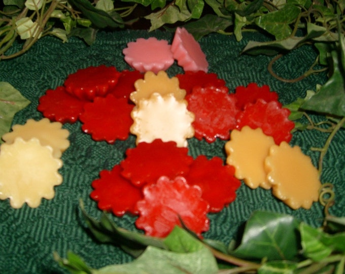 Variety Pack of Scented Wax Melts, Includes 8 popular fragrances for Wax Melt Warmers: Berry Bramble type, Bird of Paradise, Blackberry etc.