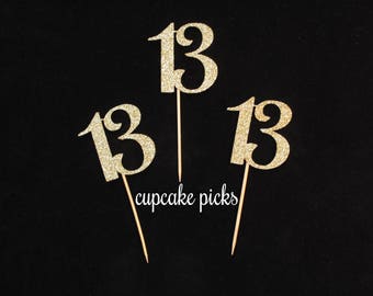 13 Cupcake Picks, 13th Birthday Cupcake Toppers, 13th Birthday Party Decorations, 13th Birthday Party