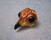 Owl skull 'Hieronymus'