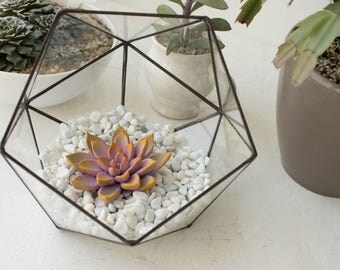 Pink yellow Succulent Fairy Garden in Cup Ideas Polymer Clay Succulent Home House Decor Decoration Modern Minimalist Home Style Housewarming