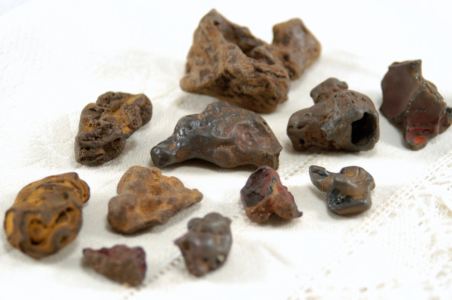 11 ironstone rock nodules and concretions. limonite hematite