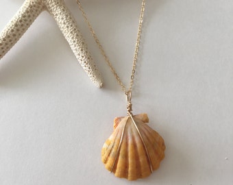 Sunrise shell necklace | Etsy