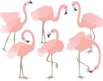 70% OFF SALE Flamingo Clipart - Digital Vector Flamingo, Bird, Exotic, Coral Flamingo Clip Art