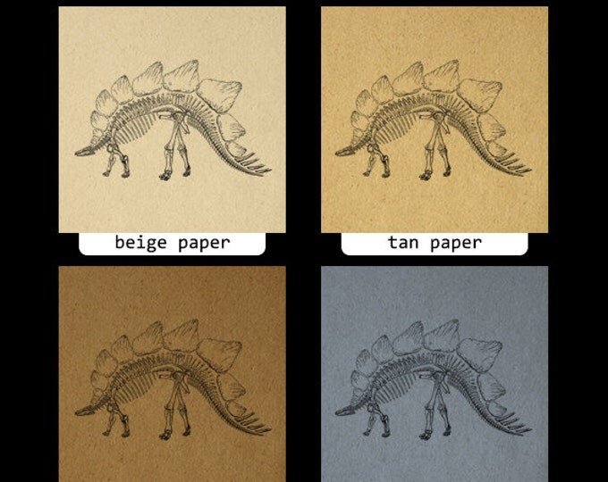 Printable Dinosaur Stegosaurus Dinosaur Skeleton Graphic Image Digital Download Printable Vintage Clip Art Jpg Png Eps HQ 300dpi No.2189