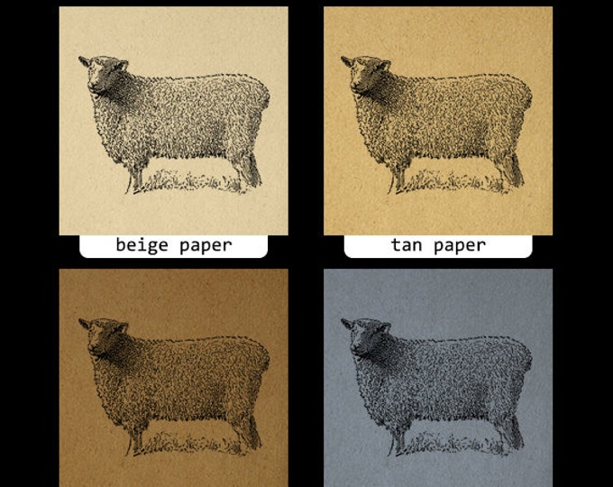 Wensleydale Ram Sheep Graphic Printable Digital Download Illustration Image Antique Clip Art Jpg Png Eps HQ 300dpi No.3560