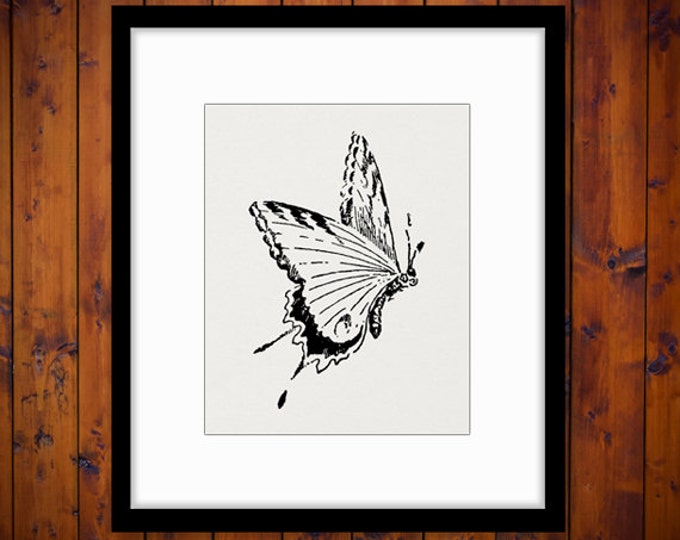 Printable Flying Butterfly Image Graphic Download Digital Artwork Vintage Clip Art Jpg Png Eps HQ 300dpi No.2541