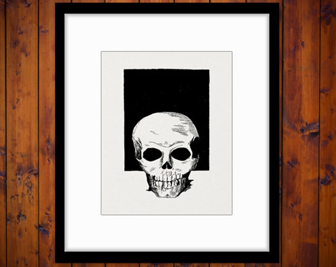 Skull Printable Graphic Download Image Skull Digital Artwork Jpg Png Eps HQ 300dpi No.4205