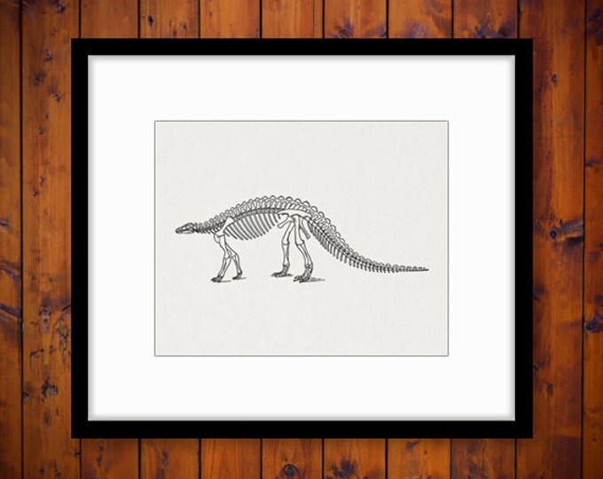 Digital Image Dinosaur Printable Dinosaur Skeleton Download Graphic Vintage Clip Art Jpg Png Eps HQ 300dpi No.2192