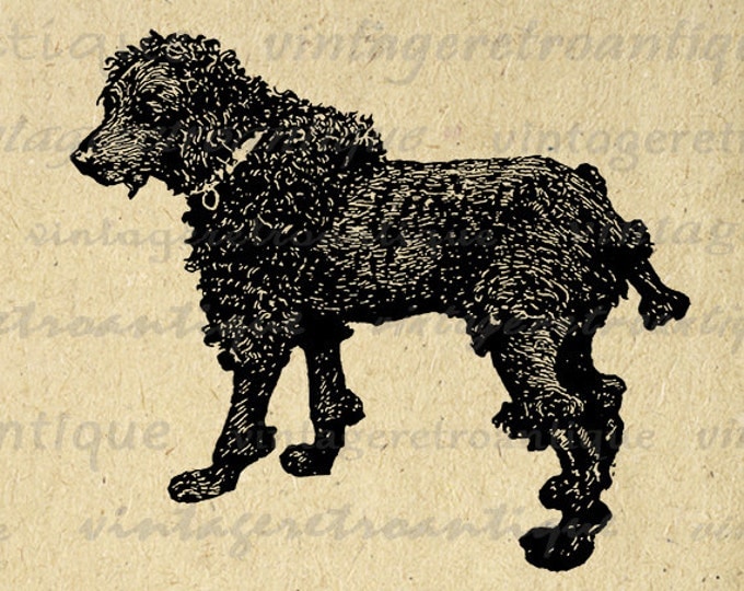 Dog Antique Image Graphic Download Digital Printable Vintage Clip Art for Transfers Printing etc HQ 300dpi No.357