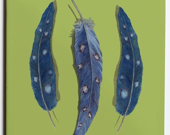 Pair of Feather Coasters 4.25x4.25