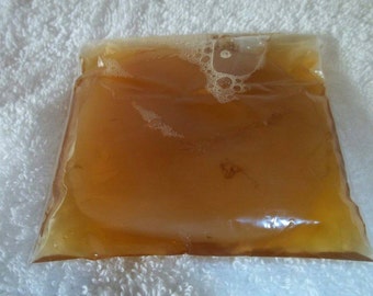 Organic Kombucha SCOBY Mother with Starter Tea