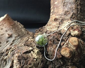 Real moss , lichen, woodland sterling silver necklace, glass orb