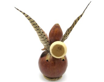 Gourd Rattle, Shaman Rattle, Gourd Art, Native American Decor, Native American, Gourds, Decorative Gourds, Shaman, Unique Home Decor