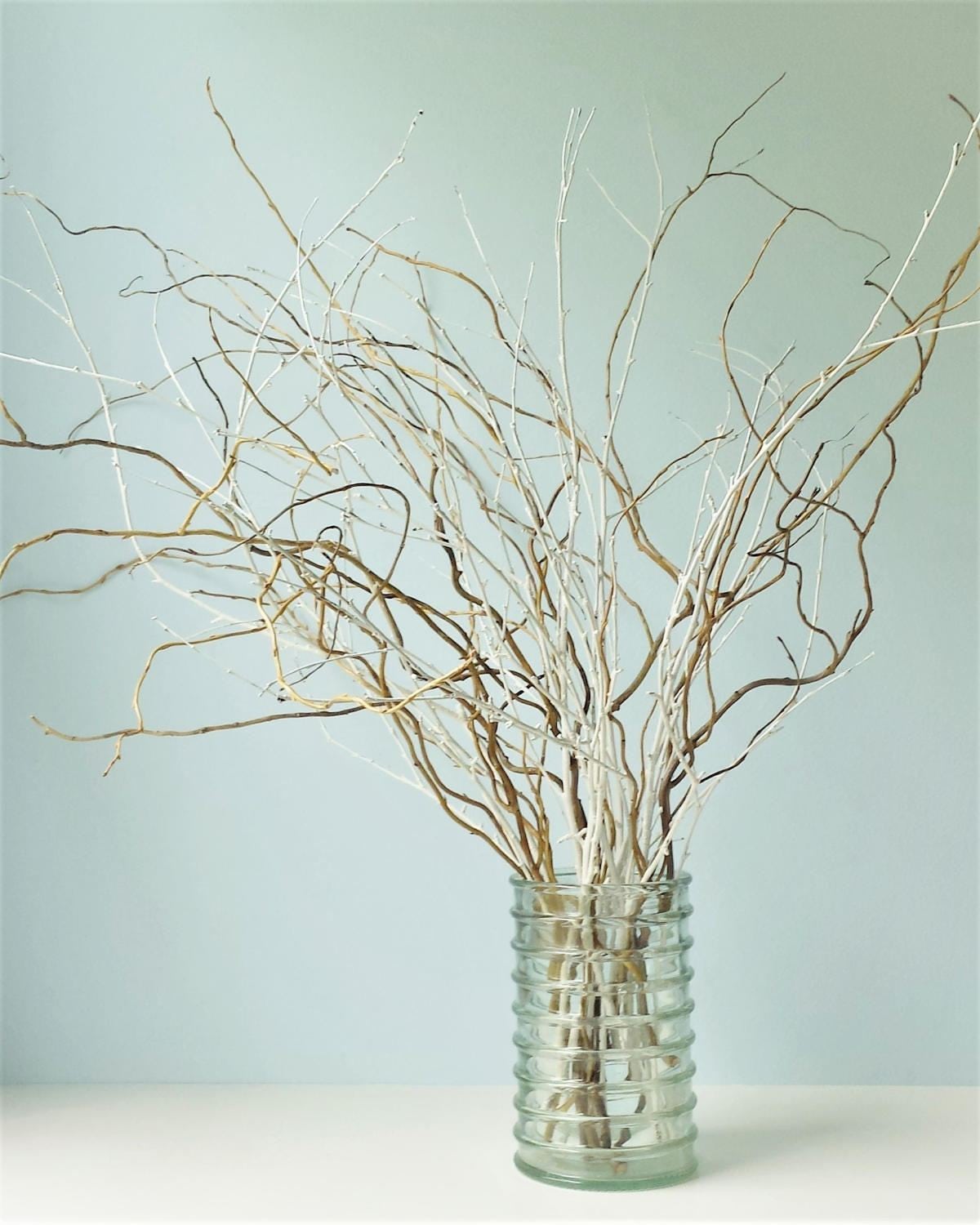 Curly Willow Twigs White Painted Birch Branches Mixed Bunch