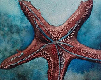 Original Modern Art blue red Marine Watercolour Aquarelle Wall Art Beach Deco Nautic style Nature Starfish underwater Gift for Her