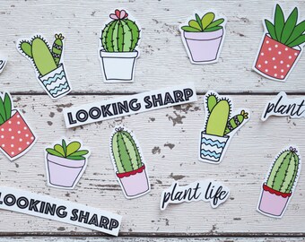Cute Cactus Stickers – Set Of 24