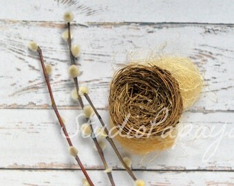 Easter Newborn Digital Background - Instant download - Newborn Digital Background