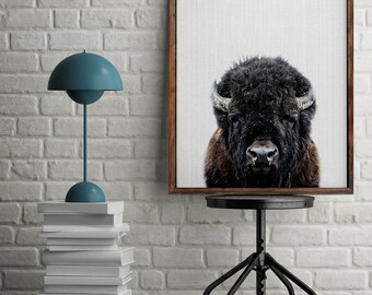 Buffalo Print, Buffalo Photography, Buffalo Nursery, Animal Print, Bison Wall Decor, Bison Print, Woodland Animals, Nursery Art, Buffalo Art