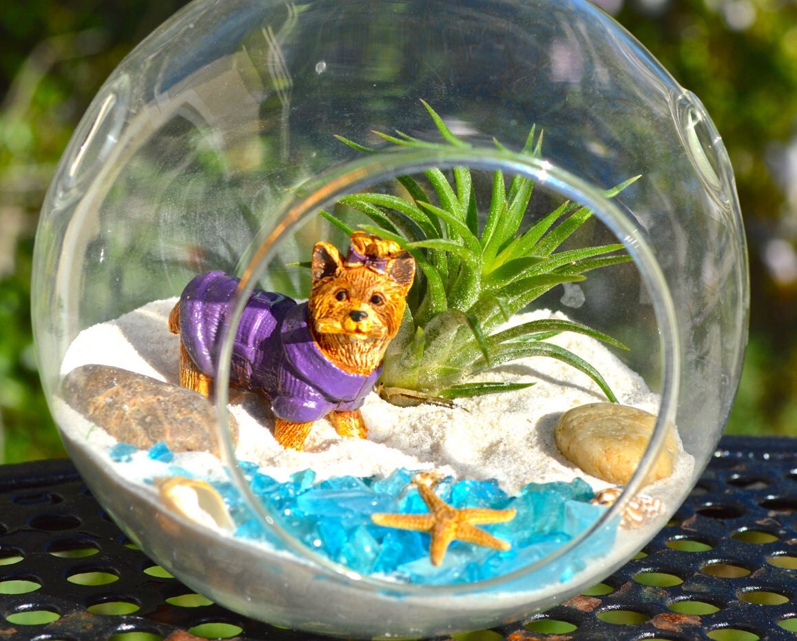 Dog Terrarium Kit Glass Hanging or Sitting Terrarium with