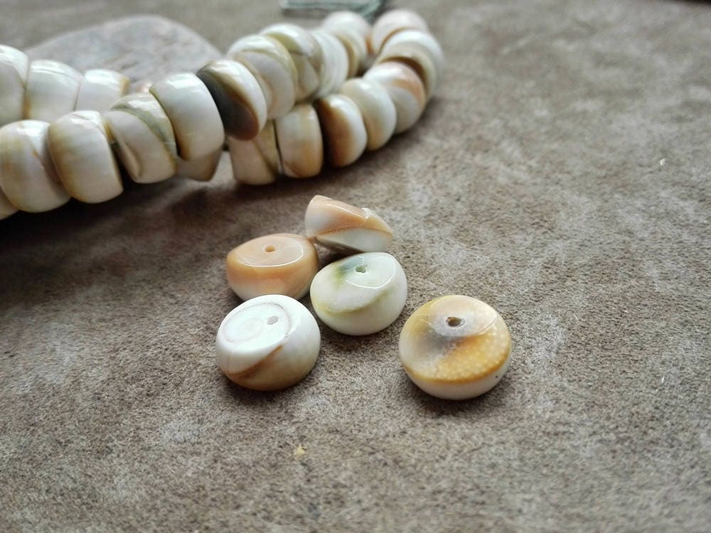 Sea Shell Beads Natural Shell Beads 25 Pcs Conch Shell Beads