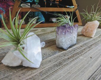 Air plant terrarium - air plant holder set - air planter - boho decor - air plant crystal - gift for friend - boho wedding favor - unique