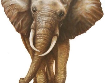 Elephant wall decal, elephant mural, elephant decal, wall decals, childrens decals, childrens murals, childrens wall painting