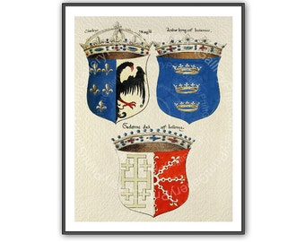 Renaissance Heraldry Print Heraldic Shields Coat of Arms European Medieval Crowns Crest Wall Art Man Cave Art Decor Antique Maritime ap 159