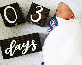 Handpainted Wood Milestone Baby Blocks