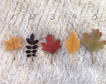 Real leaf brooch for sweater nature brooch dried leaves in resin women coat brooch Autumn leaves brooch Fall leaf brooch botanical brooch
