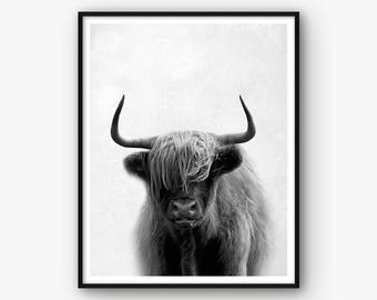 Cow Wall Art highland cow | etsy Cow Wall Art highland cow | etsy