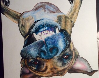 Custom Hand Drawn Pet Portrait in Color