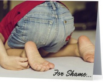 Donald Trump Apology Greeting Cards!