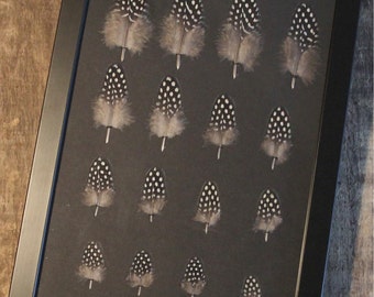 Feathers of hen under framework / unique / the pen box